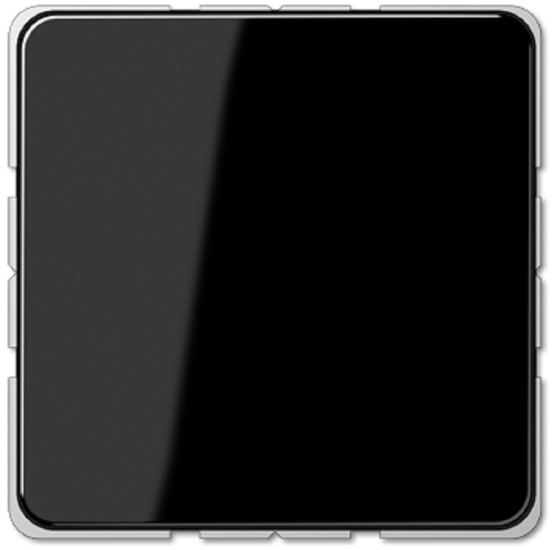 Заглушка без рамки Jung CD500 черный картинка